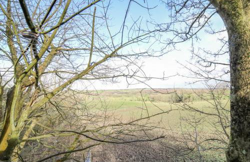 Tree House - Photo 16