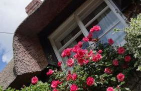 Little Thatch Cottage - Cerne Abbas, Dorset - Photo 19