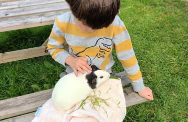 Rural Farm Stay with 6 cottages, 4 miles to Barnstaple, Pet friendly, Daily animal experiences, Outdoor heated pool, Games barn, Free fast WiFi, Free parking - Foto 14