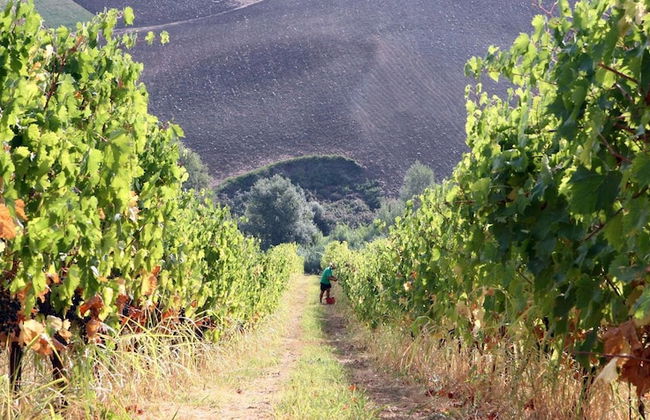 Villa Venti - Foto 32