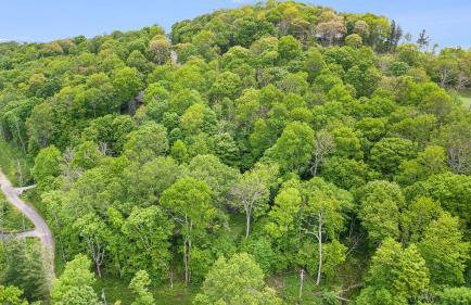 Deck w/ Forest Views, Ping Pong Blue Ridge Mtn Escape Ash Vale by Avantstay - Foto 73