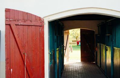 Siedlisko Słoneczny Jar - Foto 12