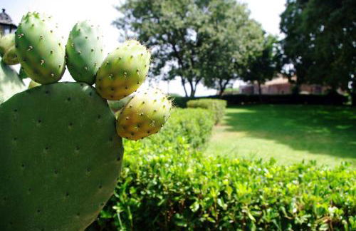 Case Dietroserra - Foto 35