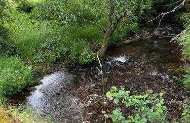 Baddegai Holiday Cottage - Photo 37