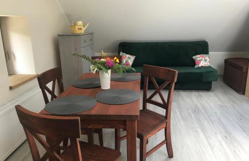 Mazurska Zagroda - Żabi Rechot - dom - stodoła - jacuzi-sauna - Photo 28