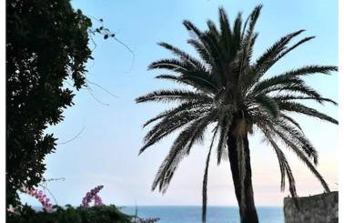 Boni a World of Magic - Foto 10