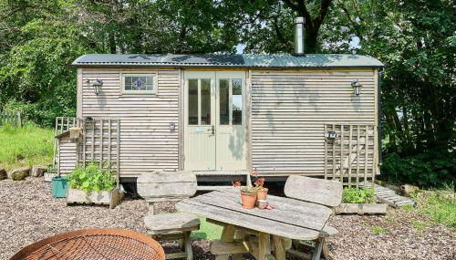 Host & Stay - Dipple Farm Shepherds Hut - Foto 1, Garden