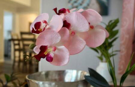 Escape to Raleigh Ave Glamour - Steps to the Beach - Foto 6