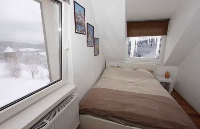 Peaceful Villa in the Hills of Jachymov Near Spas - Photo 3