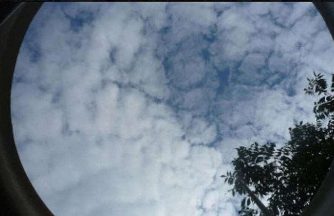 Le Domaine des Tuileries - Foto 29