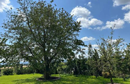 Domki Osada Bożków z jacuzzi - Foto 11