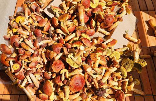 HelskaVilla1841 - Foto 11