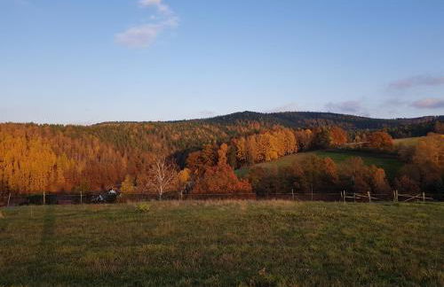 Ferienwohnung Bonndorf - Foto 9