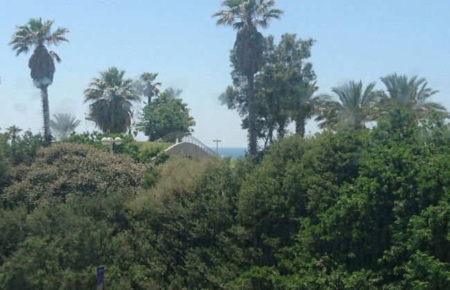 TLVSublet Hayarkon - Foto 46