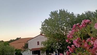 Agriturismo La Locandiera - Foto 2