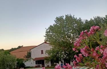 Agriturismo La Locandiera - Foto 1