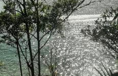 Jajá Cabanas - Foto 37