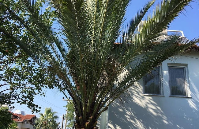 Gunaydin Apart & House - Foto 1