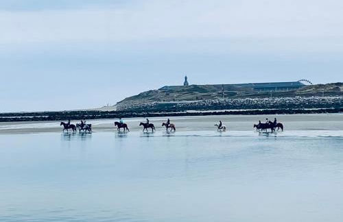Face mer pieds dans l'eau - Foto 22