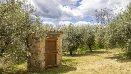 Mas Chantequinson - Foto 4, Garden, Garden view