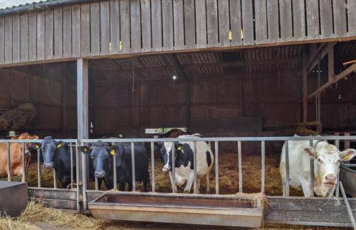 Bess's Cottage - Foto 11