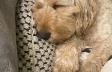 Limefield Mansion House - Foto 2