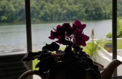 Lakehouse has Spectacular View plus Easy Access! - Foto 66