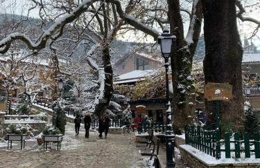 Petit Chalet - Foto 27