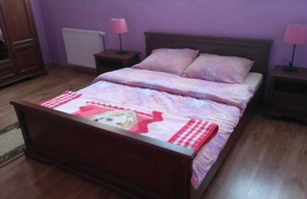 Gospodarstwo Agroturystyczne Leśna Polanka - Foto 3