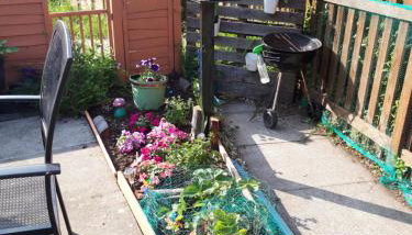 Hardgate Gardens - Foto 5