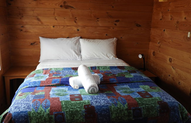 Somerset Caravan Park - Foto 16