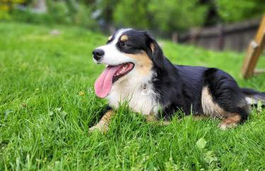 Domek na Obidzy - Foto 19