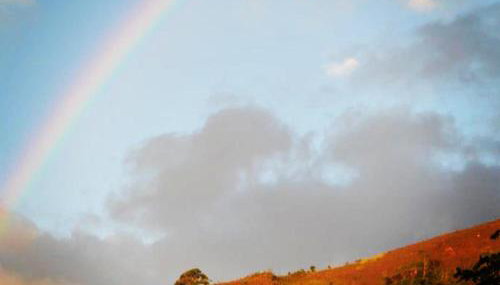 Vale das Estrelas - vale das videiras - araras - Photo 3