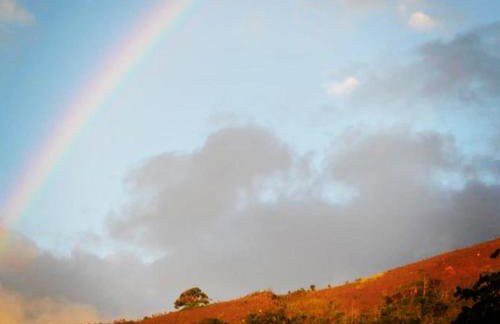 Vale das Estrelas - vale das videiras - araras - Foto 3