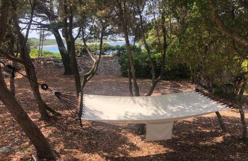 Casula Mediterranea - Foto 7