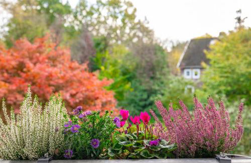Park & Meer - Ferienwohnung im Grünen - Bad Zwischenahn, 4 Zimmer, bis 9 Gäste - Foto 15