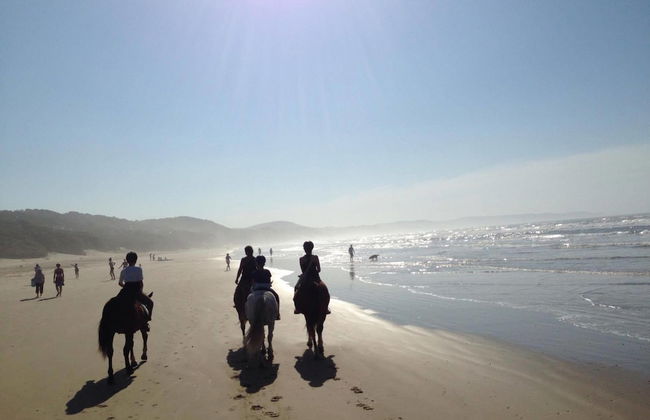 Cintsa View - Photo 18