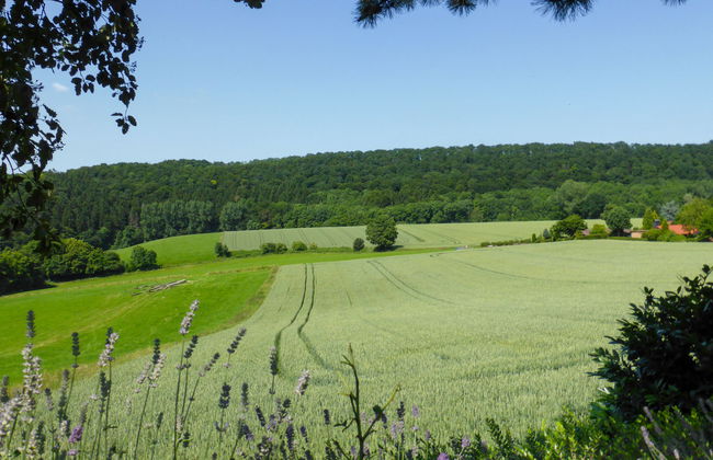 Zedernhütte - Foto 31
