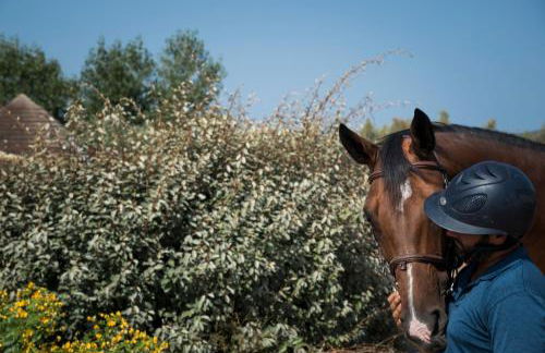 Is Cheas wine farm boutique hotel - Foto 52