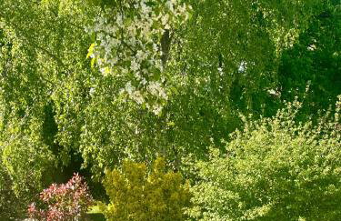 The Granary - Foto 41