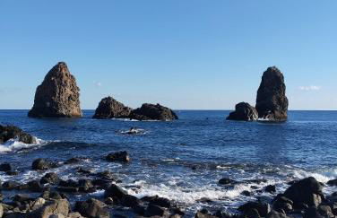 Blue Charm Maison - Foto 3