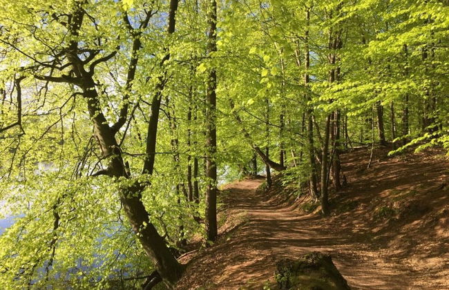 Das-zauberlig-ferienhaus - Photo 24