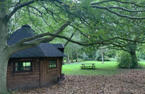 Starry Meadow & Rescued Animal Experiences - Foto 30