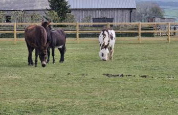 Greystones nawab sleep 6 C buxton in peak park - Foto 8