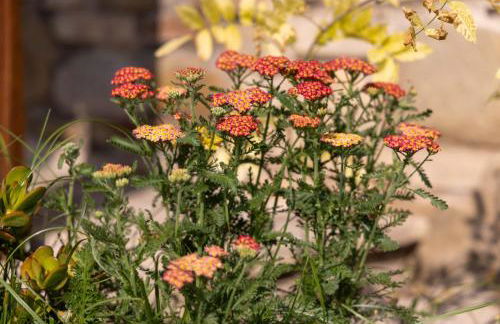 Agriturismo la Palazzetta di Assisi - Photo 20