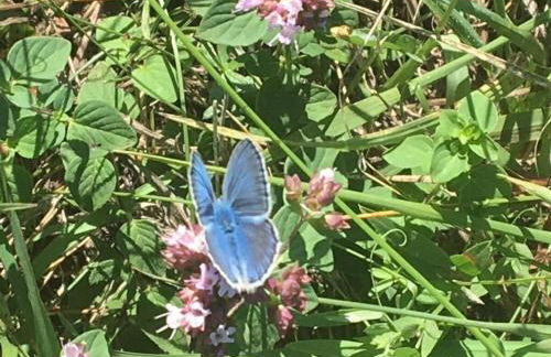 Savoir Vivre Modern Retreat - Foto 65