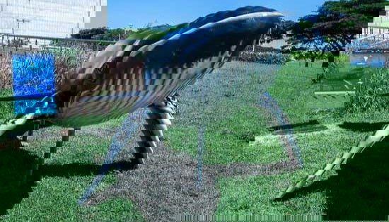 Estátua de um baleia Jubarte