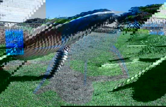 Tour completo por Vitória - Foto 5