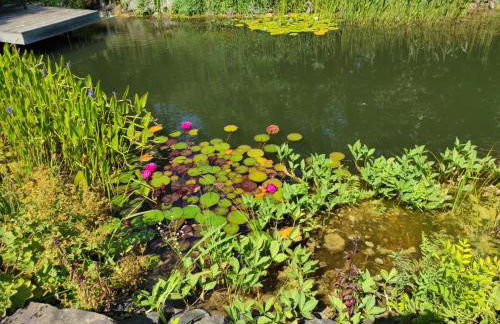 Suite Vorderrhön Anní - Foto 21