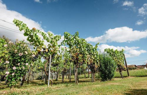 Ferienhaus zur Weinlaube - Foto 27